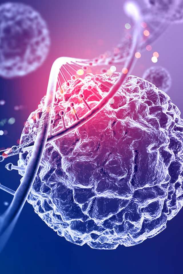 stem cell therapy